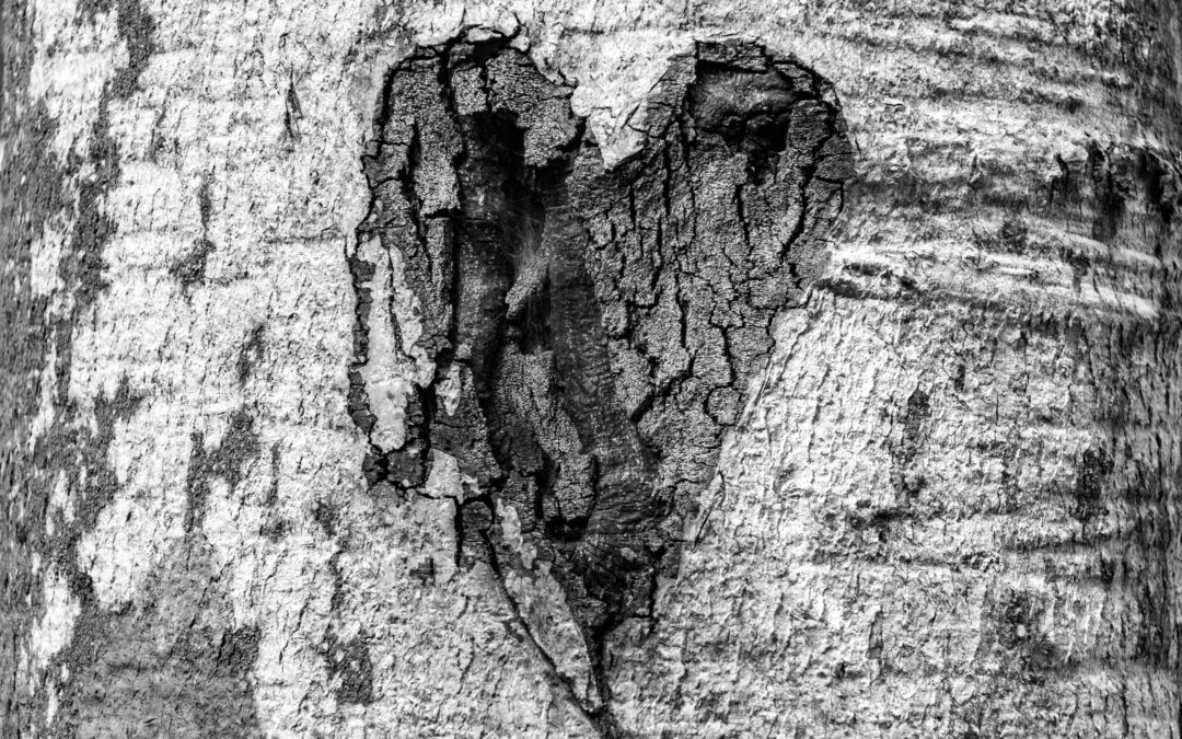 The Unseen Scars: Why Family Rejection Fuels Suicide in Adolescents Living with HIV