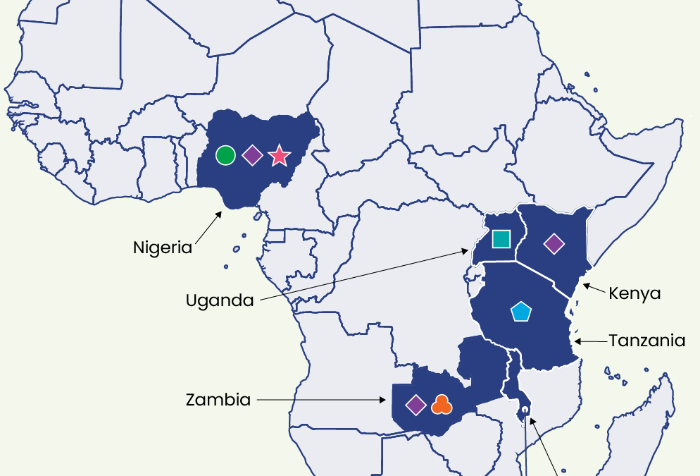 Strengthening HIV Prevention and Care for Adolescents and Young Adults Across Africa: The PATC³H-IN Network